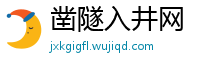 凿隧入井网